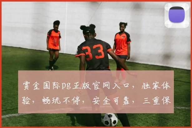 赏金国际pg正版官网入口，独家体验，畅玩不停，安全可靠，三重保障，必看攻略