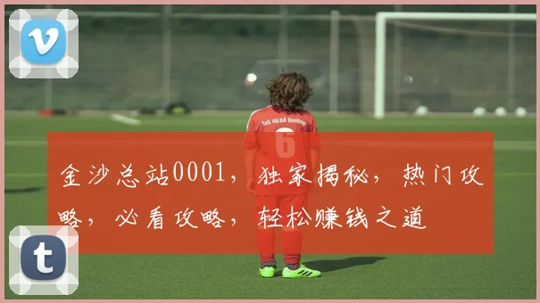 金沙总站0001，独家揭秘，热门攻略，必看攻略，轻松赚钱之道