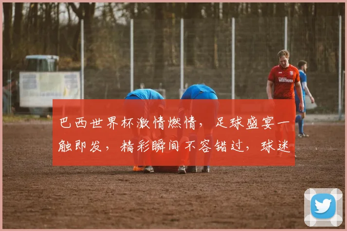 巴西世界杯激情燃情，足球盛宴一触即发，精彩瞬间不容错过，球迷狂欢盛宴来袭