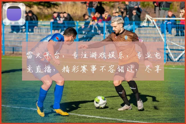 雷火平台，专注游戏娱乐，专业电竞直播，精彩赛事不容错过，尽享游戏盛宴