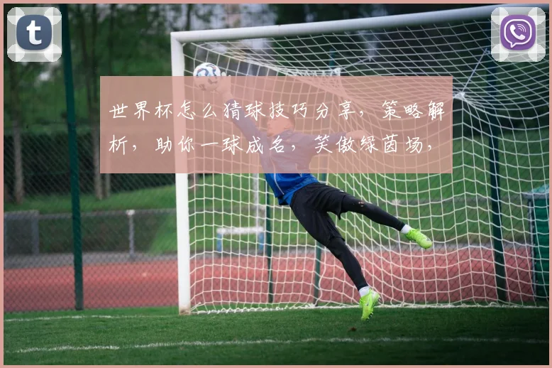 世界杯怎么猜球技巧分享，策略解析，助你一球成名，笑傲绿茵场，赢取大奖