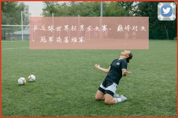 乒乓球世界杯男女决赛，巅峰对决，冠军花落谁家