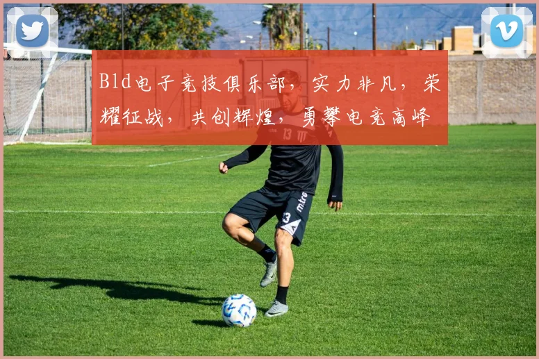 Bld电子竞技俱乐部，实力非凡，荣耀征战，共创辉煌，勇攀电竞高峰，激情四溢